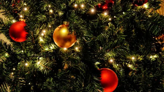 A christmas tree with red and gold ornaments.