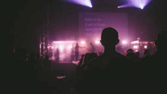 A silhouette of people at a concert.