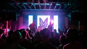 A crowd of people watching a performance at a concert.