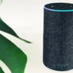 An amazon echo dot sitting next to a plant.