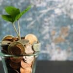 A plant sprouting out of coins in a glass vase, symbolizing growth and prosperity amidst the support towards the COVID-19 fund.