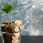 A plant sprouting out of coins in a glass vase, symbolizing growth and prosperity amidst the support towards the COVID-19 fund.