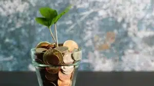 A plant sprouting out of coins in a glass vase, symbolizing growth and prosperity amidst the support towards the COVID-19 fund.