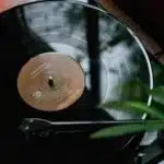 A record player is next to a plant in a physical distribution scenario.