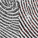 fingerprint