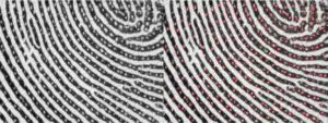 fingerprint