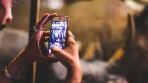 A person using their cell phone to take a picture for a TikTok video.