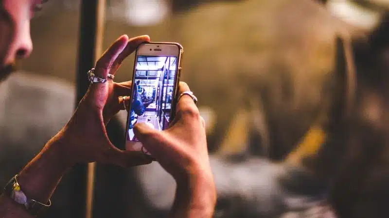 A person using their cell phone to take a picture for a TikTok video.