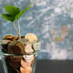 A plant growing out of coins in a glass vase representing funding.