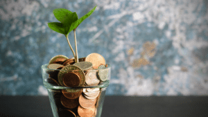 A plant growing out of coins in a glass vase representing funding.