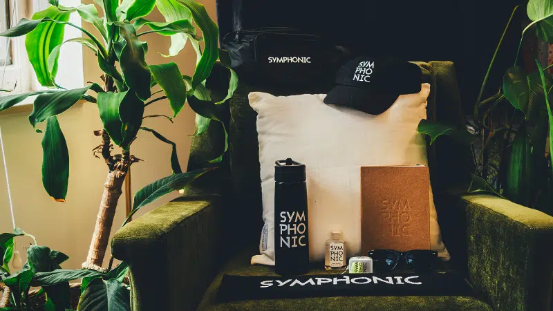An eco-friendly chair with a bottle of water, a hat, and a plant.