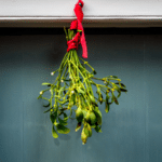 A door adorned with mistletoe, creating a festive atmosphere.