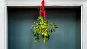 A door adorned with mistletoe, creating a festive atmosphere.