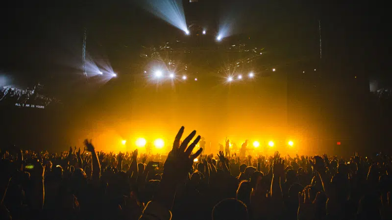 A crowd of people raising their hands at a festival.