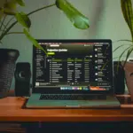 A laptop on a desk next to a potted plant while using Spotify.