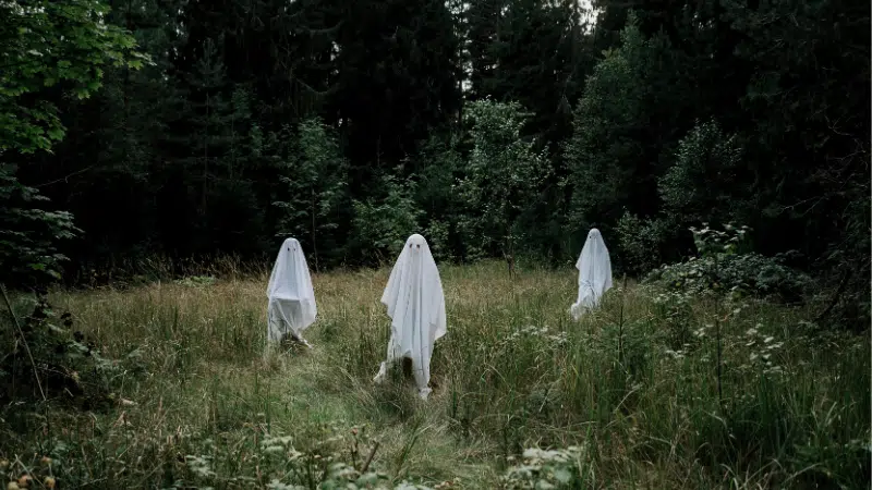 Three people dressed as ghosts with white sheets stand in a grassy, wooded area surrounded by trees—perfect inspiration for your next spooky szn playlist.