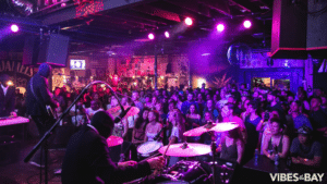 A crowd of people enjoying the vibes at a nightclub performance.