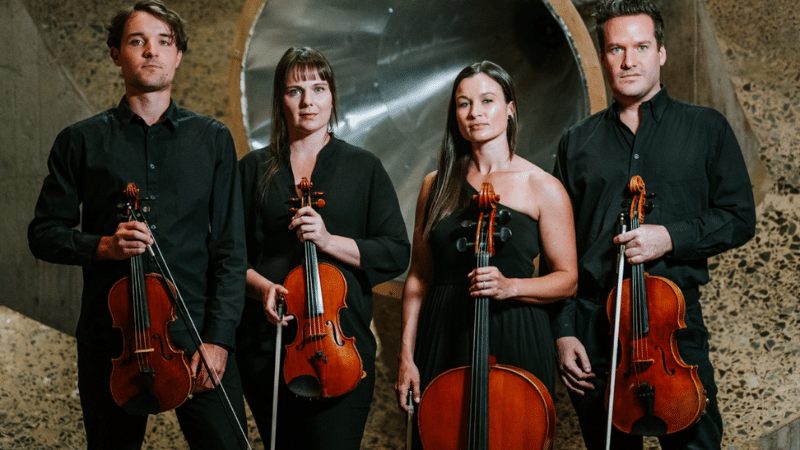 Four people stand unfiltered, holding string instruments against an abstract background.