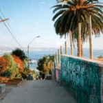 A narrow path with graffiti-covered walls leads downhill towards the Chilean coastline, flanked by a large palm tree and utility poles under a clear blue sky.