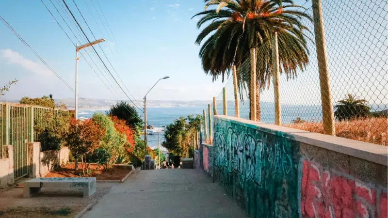 A narrow path with graffiti-covered walls leads downhill towards the Chilean coastline, flanked by a large palm tree and utility poles under a clear blue sky.