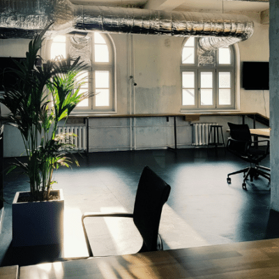 Empty modern office space with large windows, exposed pipes, a potted plant, desks, and chairs with sunlight streaming in—reflecting the calm often seen during a music industry slowdown.
