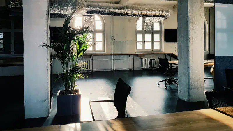 Empty modern office space with large windows, exposed pipes, a potted plant, desks, and chairs with sunlight streaming in—reflecting the calm often seen during a music industry slowdown.