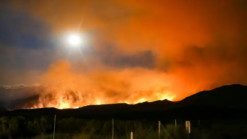 A wildfire burns intensely at night, illuminating the sky with orange flames and smoke, as a bright full moon offers its gentle support from above.