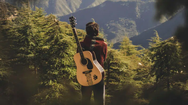 Person standing in a forested area with a guitar slung over their back, facing away and gazing at distant mountains under daylight—a peaceful scene that echoes the quiet individuality found in micro-markets.