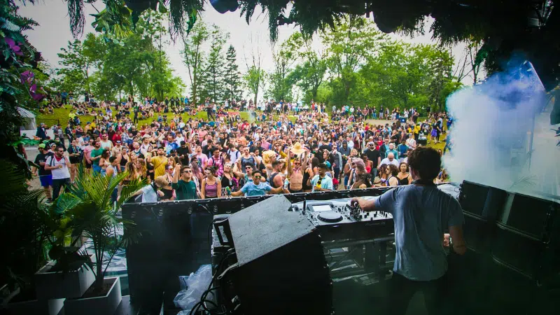 A DJ performs on an outdoor stage to a large crowd of people during the day, surrounded by trees and greenery, capturing the vibrant energy of festivals.