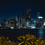 City skyline with illuminated skyscrapers and a glowing billboard reflecting on water at night, leafy plants in the foreground.