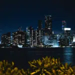 City skyline with illuminated skyscrapers and a glowing billboard reflecting on water at night, leafy plants in the foreground.