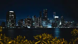 City skyline with illuminated skyscrapers and a glowing billboard reflecting on water at night, leafy plants in the foreground.