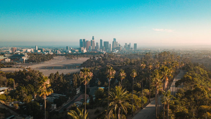 Aerial view of downtown Los Angeles skyline with palm trees in the foreground on a clear, sunny day, capturing the vibrant city energy during the GMS State of Music in Media Conference.